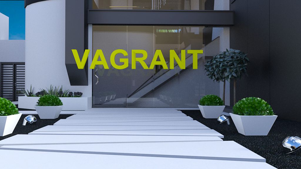 Vagrant