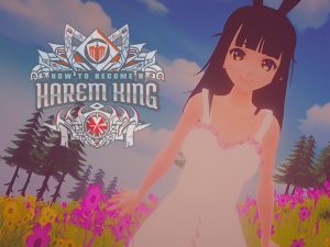 How To Become A Harem King