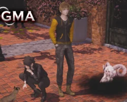 Dogma